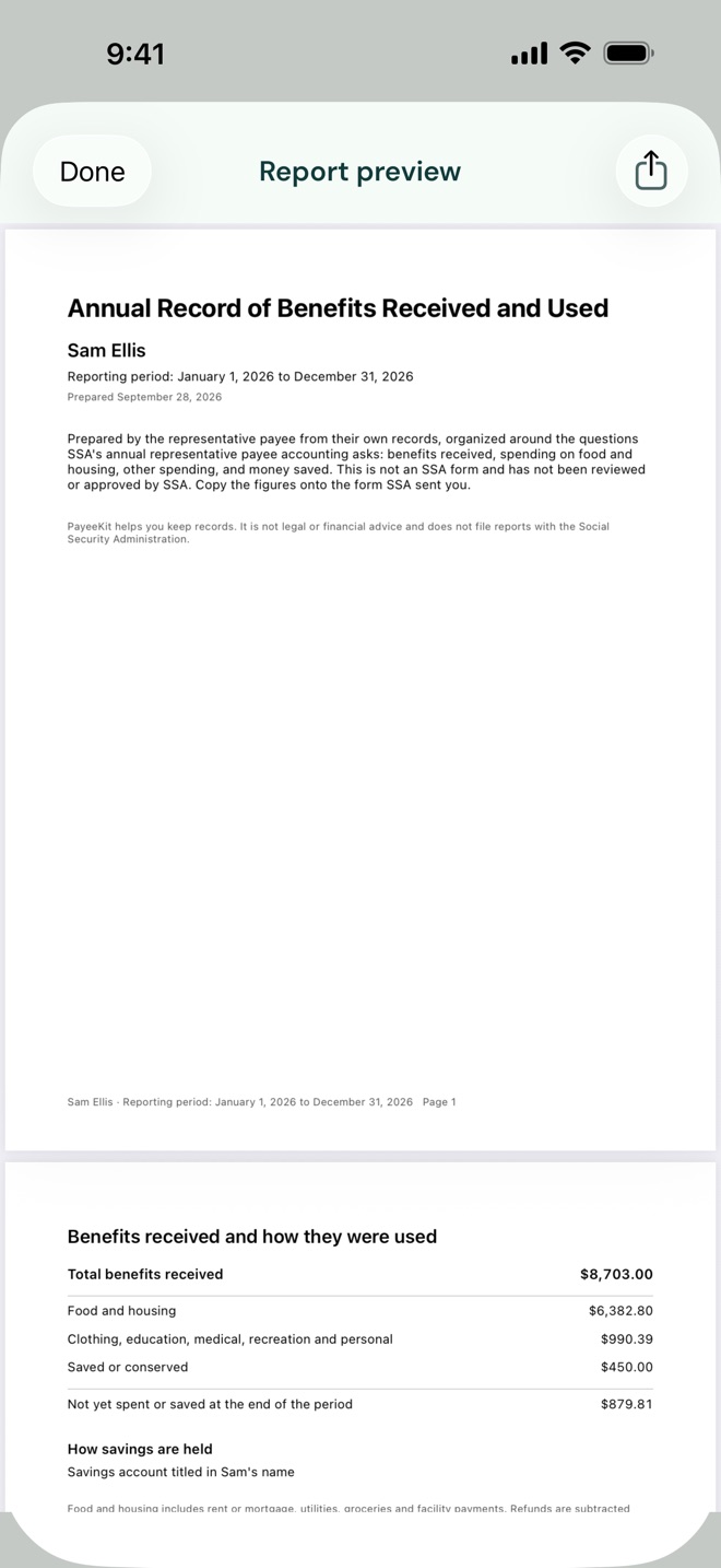 The first page of the report's PDF, with the period, the beneficiary and the category totals.